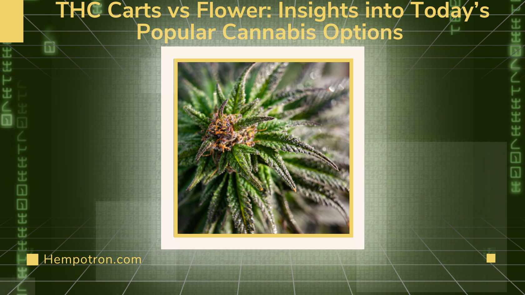 THC Carts vs Flower Insights into Today's Popular Cannabis Options